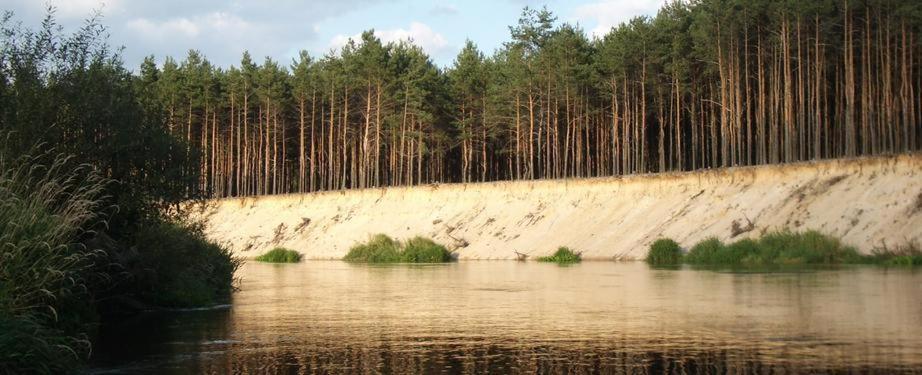 Domki Nad Pilica Krzetow Exterior photo
