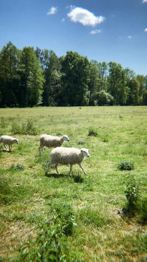 Domki Nad Pilica Krzetow Exterior photo