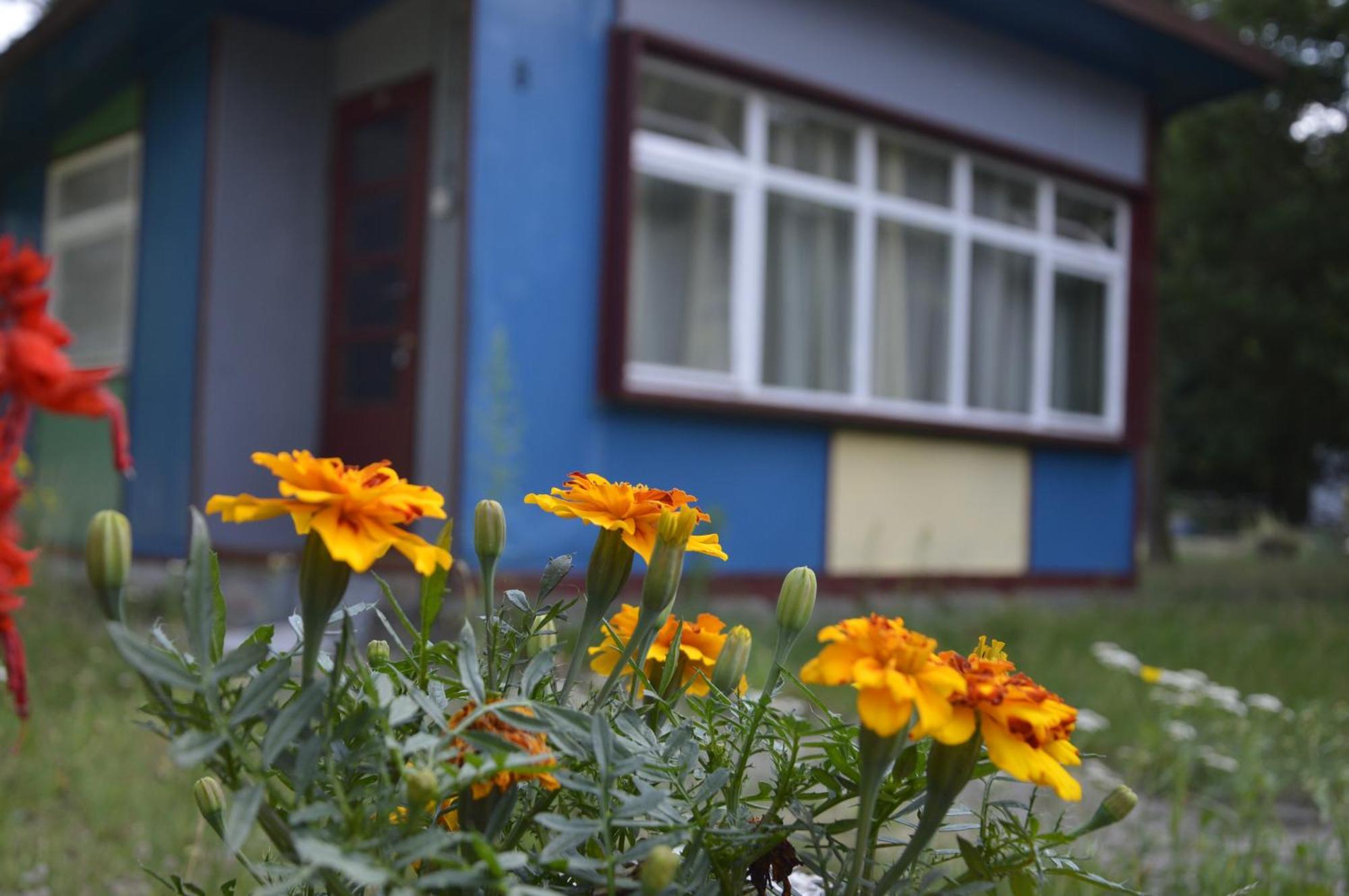 Domki Nad Pilica Krzetow Room photo